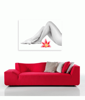 Tablou canvas Sexy legs lily