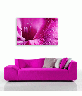 Tablou canvas Pink flower