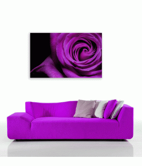 Tablou canvas Rose violet