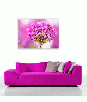Tablou canvas Violet flower