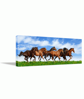 Tablou canvas Herd gallops