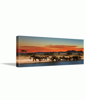 Tablou canvas Herd of elephants in african savanna
