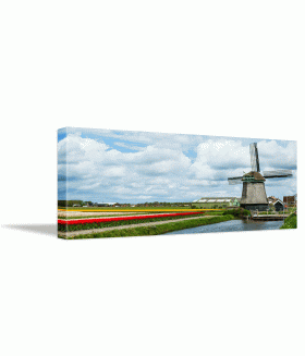 Tablou canvas Holland tulips panorama