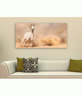 Tablou canvas Horse in the desert