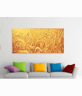Tablou canvas Wheat field natural