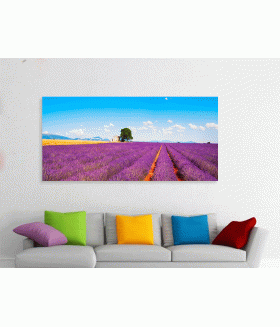 Tablou canvas Lavender flowers France