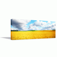 Tablou canvas Golden field